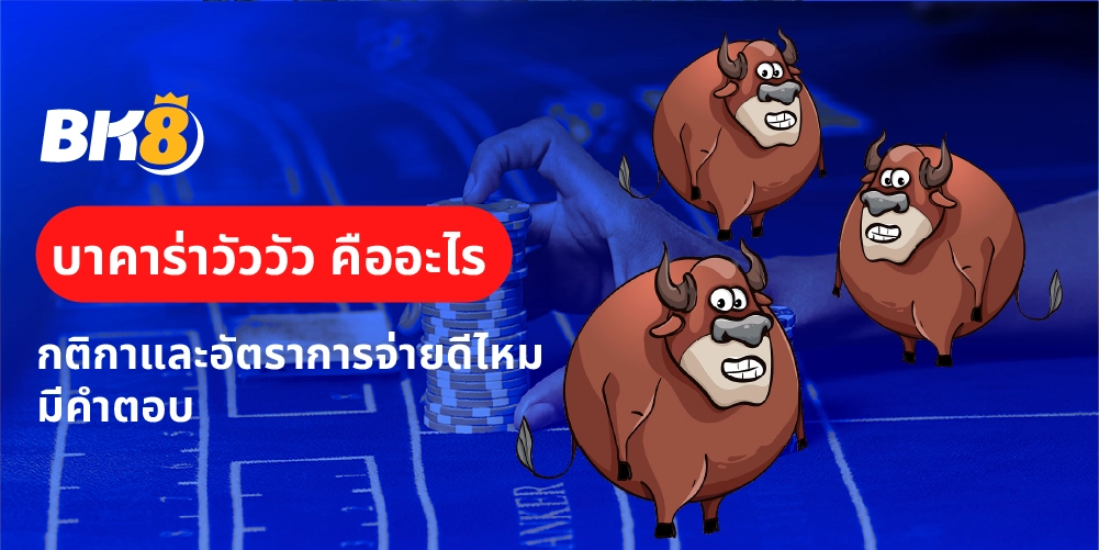 บาคาร่าวัววัว คืออะไร กติกาและอัตราการจ่ายดีไหม มีคำตอบ 8 บาคาร่าวัววัว